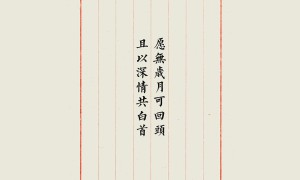 橡胶鞋十大品牌榜-2025橡胶鞋品牌排行榜