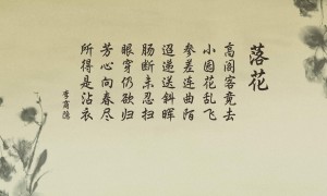 以U19:阿舒多U19vs彼达迪华马卡比U19赛前分析