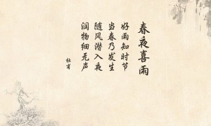 大王流量卡选购