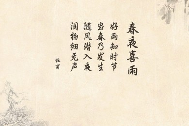MK&PRK BROS踩脚裤品牌排行榜-连裤袜丝袜哪家品牌好