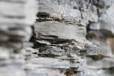 MIYAMIYA.咪吖咪呀品牌_咪吖咪呀牌子口碑_MIYAMIYA实力档次排名