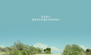 哪几个圣诞帽品牌好？品牌圣诞帽推荐
