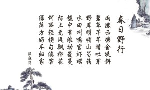 金华市和贵阳市哪个好 金华市和贵阳市哪个发达