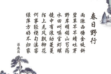 《中华英豪》中华英豪分集剧情介绍_电视剧中华英豪演员表(1-30集大结局)
