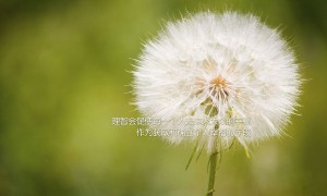 GREATLAKES.大湖品牌_大湖牌子口碑_GREATLAKES实力档次排名