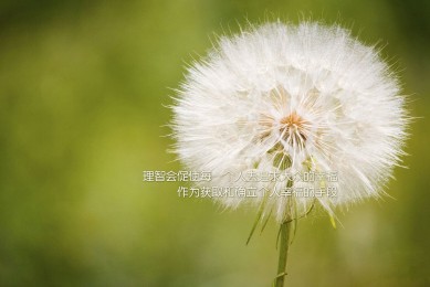 怎么看联通流量卡欠费