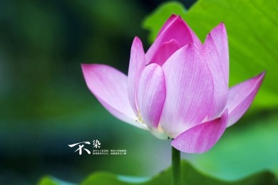山东消博士消毒科技股份有限公司Shandong_Xiao_Doctor_Disinfection_Technology_Co.,_Ltd.