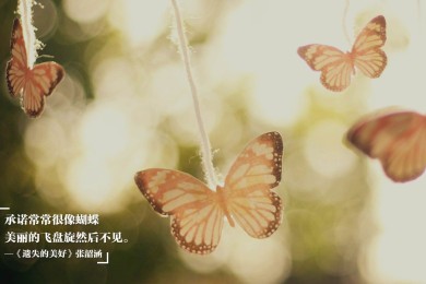 LOYZNN.罗绮品牌_罗绮牌子口碑_LOYZNN实力档次排名