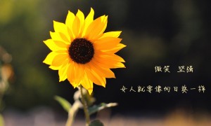 公主连结卡池三星角色概率多少 三星角色概率详解