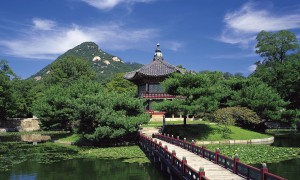 1段和2段奶粉的区别是什么？为什么选择适合宝宝的奶粉如此重要？