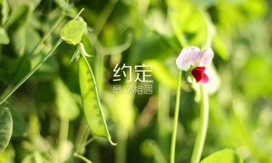  承德十大名牌高中_承德最好的4所高中