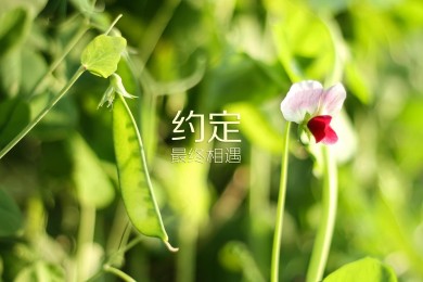 揭阳市高中阶段学校招生考试管理系统jyzkbm.jyzsb.org.cn