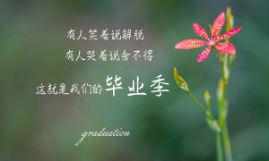 葡女锦:CD帕科斯德布兰道女足vs库库亚斯女足赛前分析