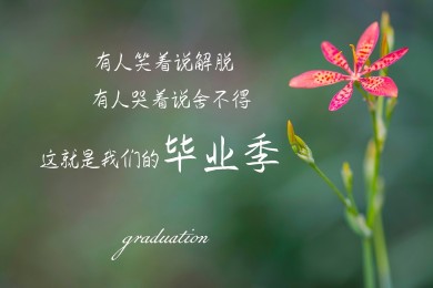 2025年绥芬河市营商局公开招聘政务服务便民热线编外聘用人员公告
