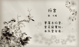 防护服品牌支持率十强：为什么它们能火这么多年？