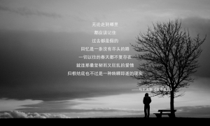 CLARA触摸式料理榨汁机品牌排行榜-榨汁机料理机哪家品牌好