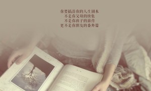 对外西班牙语水平证书考试（DELE）网上报名dele.neea.cn