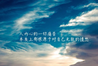 MEIRENYU.MEIRENYU品牌_MEIRENYU实力档次排名