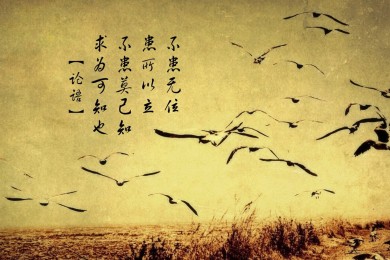  家庭窗帘十大名牌_窗帘哪个牌子好十大排名