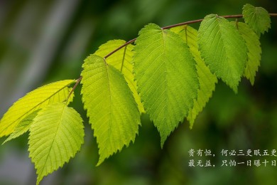 LangFarbe.朗法博品牌_朗法博牌子口碑_LangFarbe实力档次排名