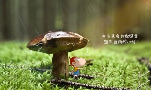 长丰特产有哪些_长丰有哪些特产
