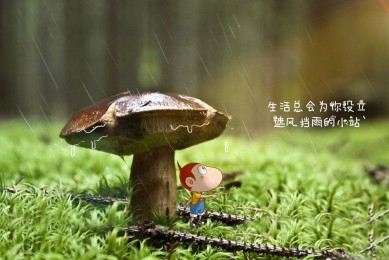龙井茶如何储存最好_龙井茶的保存方法