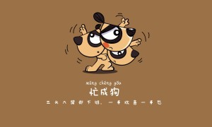 延寿县教育局教育局关于学前发展资金设备采购竞争性谈判公告