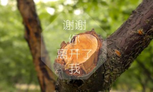 灯条十大品牌榜-2025灯条品牌排行榜