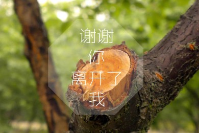 意大利最浪漫的地方，被称作被神遗忘的净土