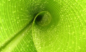 宝宝一喝奶粉就吐怎么回事？可能是这几种原因导致的