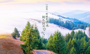 啥都送app下载_啥都送(外卖配送服务平台)_v1.0.5_安卓手机版_下载