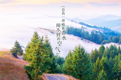  国际十大名牌唯_国际大牌子