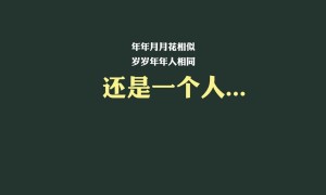  澳洲十大名牌衣服_澳洲名牌衣服品牌