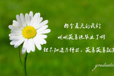 永善县政府采购和出让中心关于永善县莲峰镇人民政府购买政府公务用车项目的询价公告