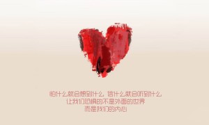 金所炫高热度电视剧合集 金所炫十部经典作品精选