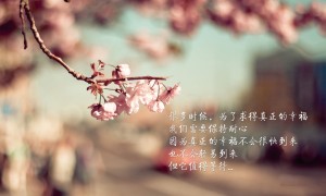 泳裤10大品牌排行榜【最新名单公布】