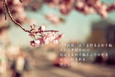 养猪场MIX最新版本下载安装-养猪场MIX官方正版下载 v16.4