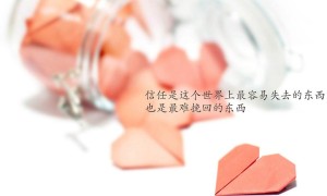 开放空间芙怎么样_开放空间芙介绍