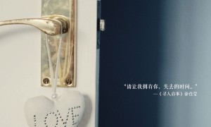 如何在Vivo手机上配置双SIM卡的流量设置？