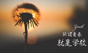 2025-2030年中国无防腐剂人工泪液行业市场调查研究及投资前景分析报告