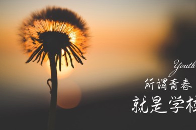 热敏开关十大品牌榜-2025热敏开关品牌排行榜