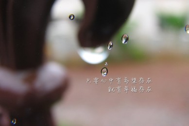黄山屯溪老街十大美食 黄山屯溪老街哪家餐馆好吃