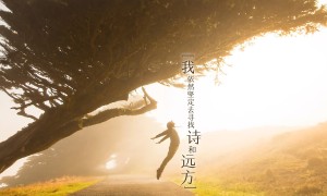 蝶阀与球阀的区别是什么？蝶阀与球阀的优缺点对比？