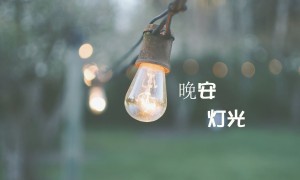 地查查app下载_地查查(行业信息查询服务软件)_v1.0.7_安卓手机版_下载