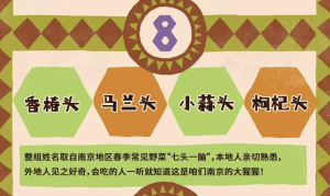 南京红山动物园大猩猩征名，“野菜F4”一路领先