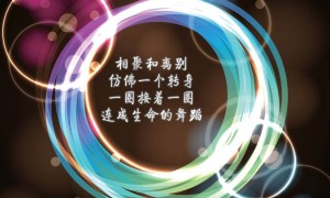 岱山县消防救援大队食堂外包项目中标公告