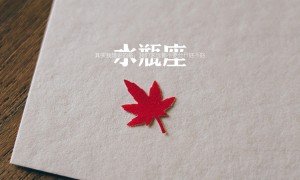 鸡蛋干是什么东西做的_鸡蛋干和豆腐干区别