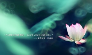第七届电力行业电站阀门标准化技术委员会成立大会暨标准审查会召开
