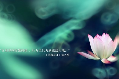 战机游戏大全手机游戏分享_2025经典的战机手游下载合集