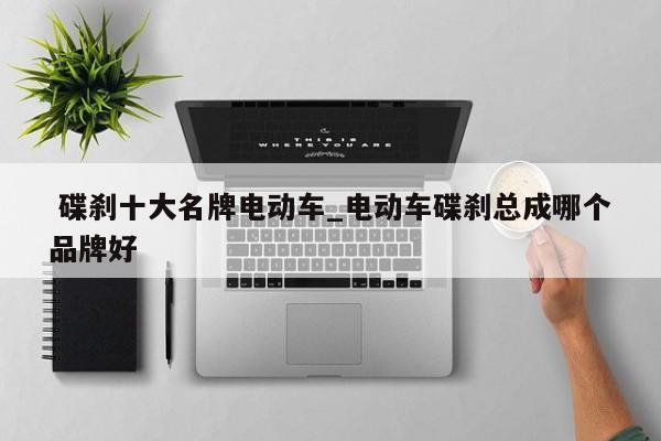 碟刹十大名牌电动车_电动车碟刹总成哪个品牌好